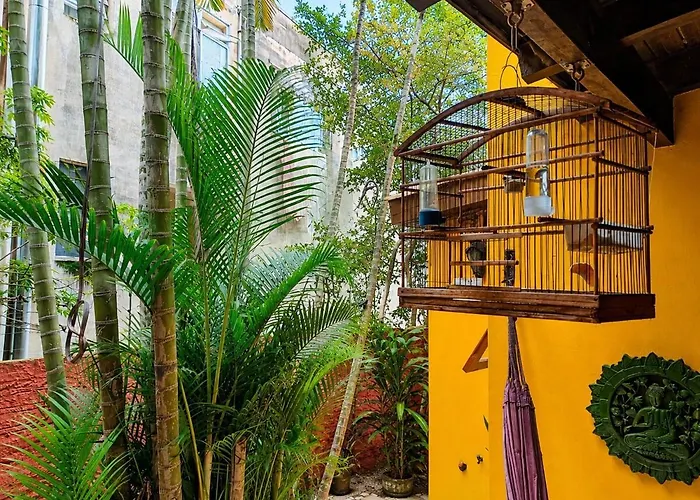 Casa Amarela